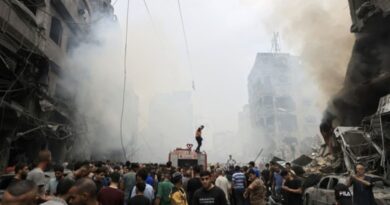 Palestine: At least 166 journalists and media workers killed in Gaza